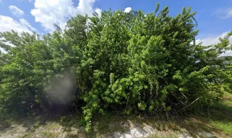 1398 Parham Avenue Palm Bay FL 32909