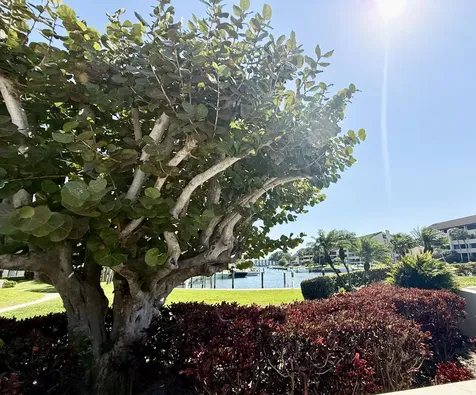 1141 Marine Way North Palm Beach FL 33408
