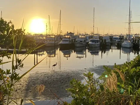 215 NW Flagler Stuart FL 34994