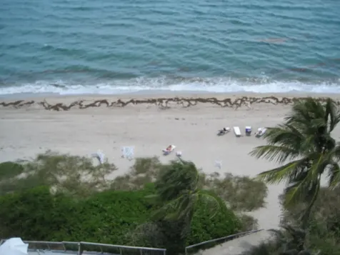 1057 Hillsboro Mile Hillsboro Beach FL 33062