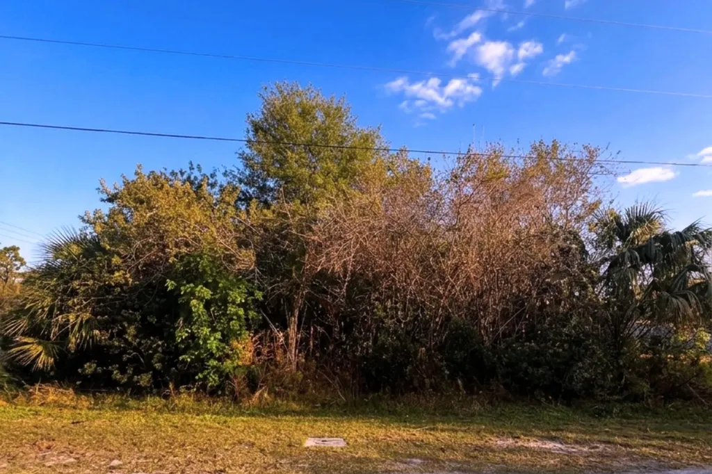 3702 SW Darwin Boulevard Port Saint Lucie FL 34953