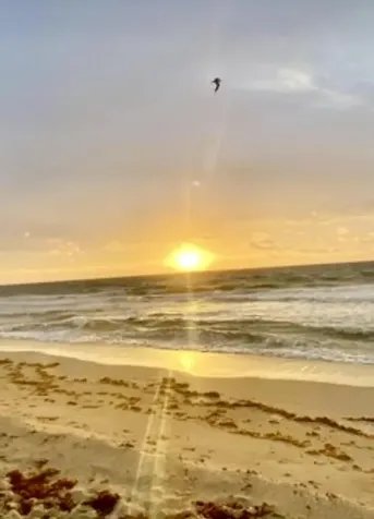 125 S Ocean Avenue Palm Beach Shores FL 33404