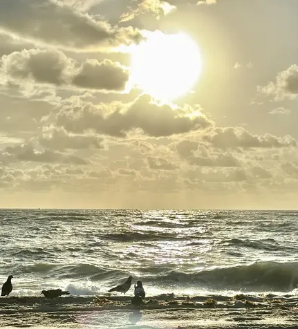 125 S Ocean Avenue Palm Beach Shores FL 33404