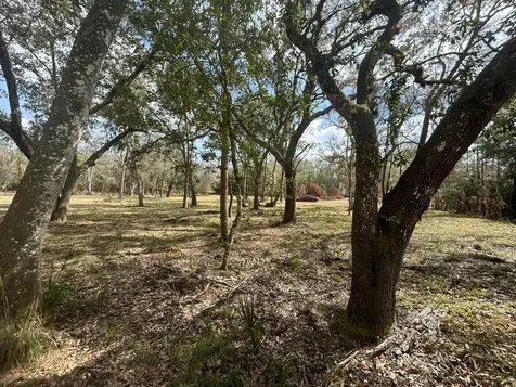 855 NW 368th Drive Okeechobee FL 34972
