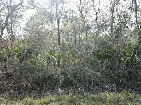 1465 NE 342nd Trail Okeechobee FL 34972