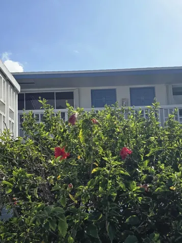 1950 Lake Osborne Drive Lake Worth Beach FL 33461