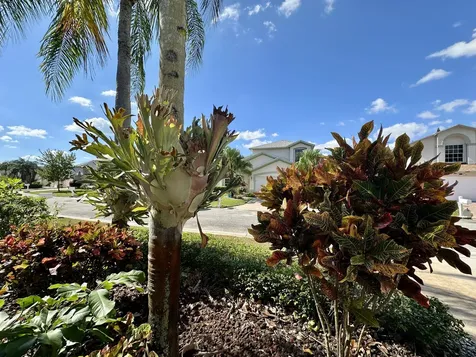 119 Hammocks Court Greenacres FL 33413
