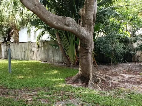 541 NE 47th Street Boca Raton FL 33431