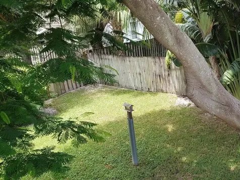 541 NE 47th Street Boca Raton FL 33431