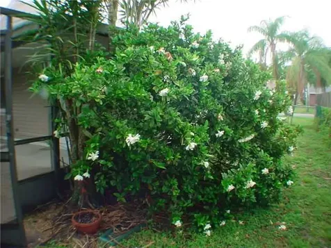 5664 Pebble Brook Lane Boynton Beach FL 33472