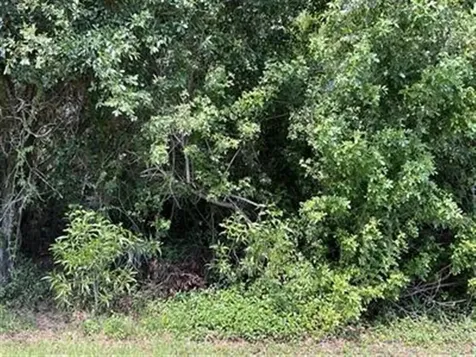 Port Saint Lucie FL 34952