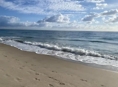 1500 S Ocean Boulevard Lauderdale By The Sea FL 33062