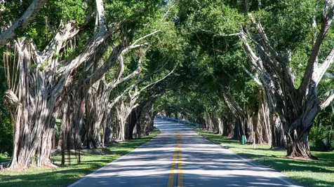 9025 Se Bridge Road Hobe Sound FL 33455