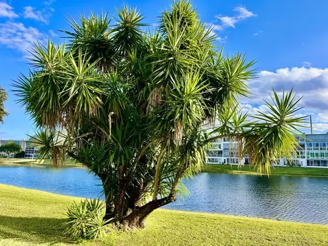 1011 Harwood C Deerfield Beach FL 33442