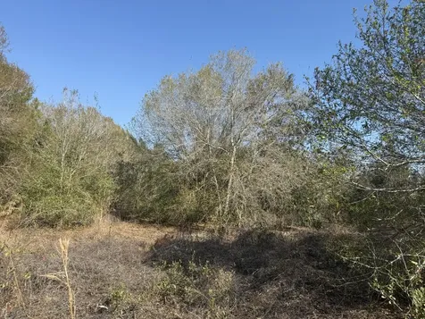 10826 NW 4th Avenue Okeechobee FL 34972