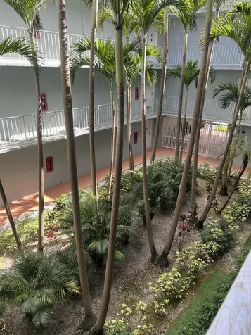 505 S Pine Island Road Plantation FL 33324