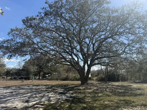 18990 NW 284th Street Okeechobee FL 34972