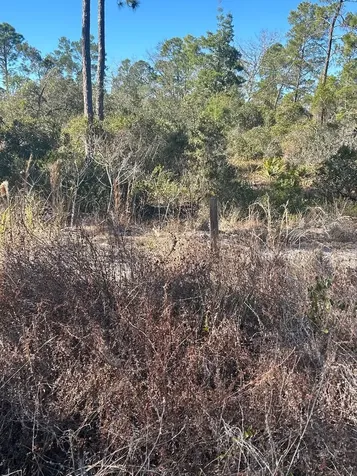 516 Deep River Drive Lake Placid FL 33852