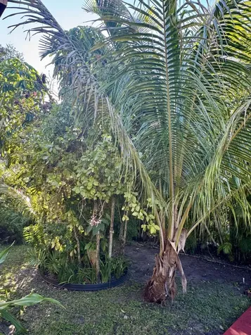 5000 Sw 5 Terrace Miami FL 33134