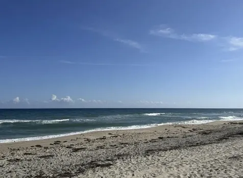 49 Douglas Drive Ocean Ridge FL 33435