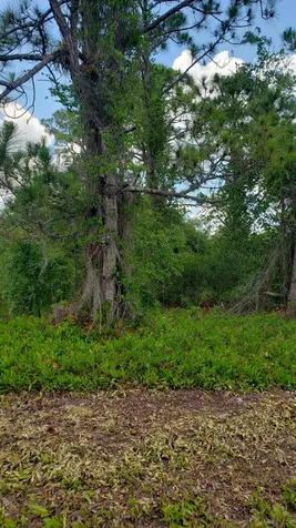 932 Island Parkway Lake Placid FL 33852