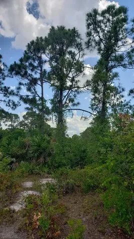 932 Island Parkway Lake Placid FL 33852