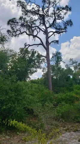 932 Island Parkway Lake Placid FL 33852