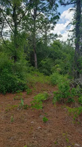 932 Island Parkway Lake Placid FL 33852