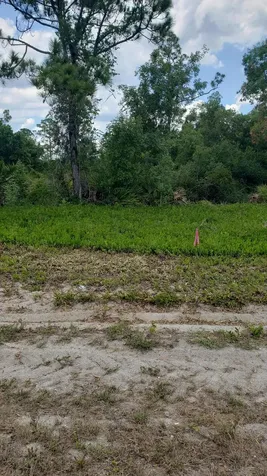 932 Island Parkway Lake Placid FL 33852