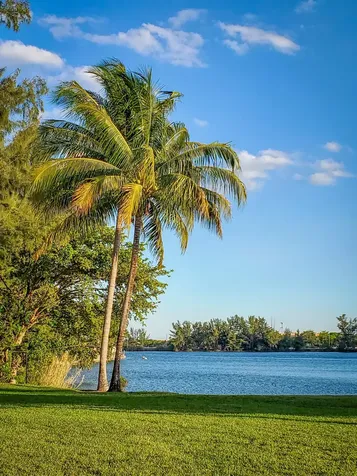 4065 Crystal Lake Drive Deerfield Beach FL 33064