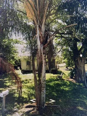 1624 Nw Avenue L Belle Glade FL 33430