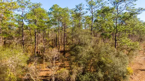 0 SW Commodore Road Dunnellon FL 34431