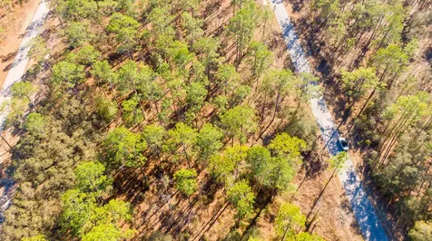 0 SW Commodore Road Dunnellon FL 34431