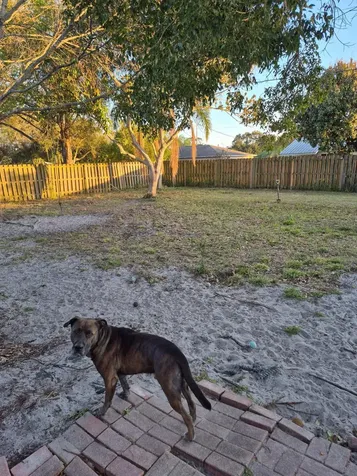 731 24th Street Vero Beach FL 32962