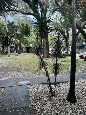 1418 SW 27th Street Fort Lauderdale FL 33315
