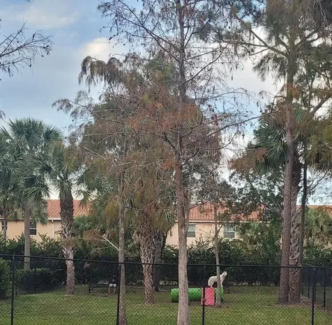4197 N Haverhill Road West Palm Beach FL 33417