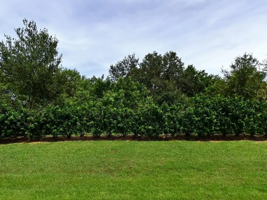 4341 Winding Place Fort Pierce FL 34981