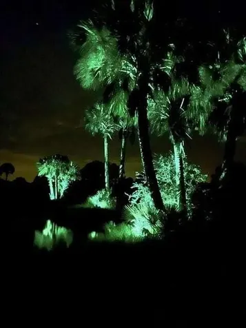 1303 Cabbage Lane Okeechobee FL 34974