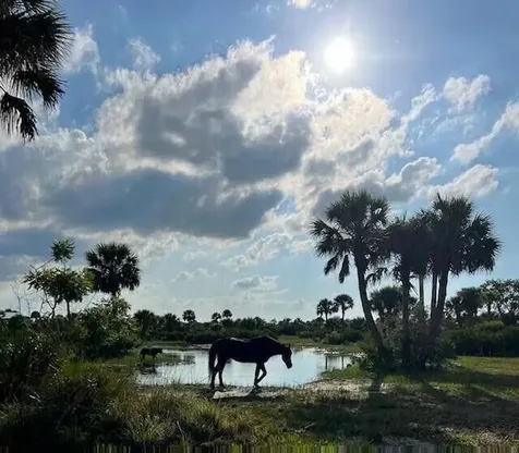 1303 Cabbage Lane Okeechobee FL 34974