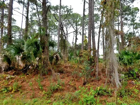 Tbd Giblin Drive North Port FL 34286
