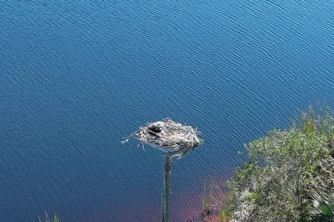 37 Shell Road Okeechobee FL 34974