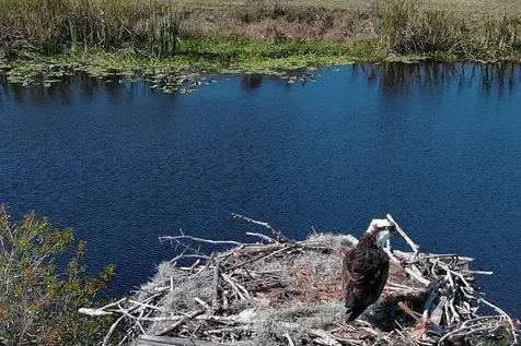 37 Shell Road Okeechobee FL 34974