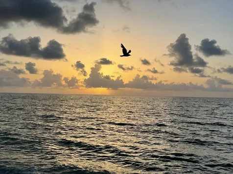 19201 Collins Avenue Sunny Isles Beach FL 33160