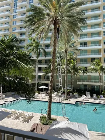 100 Ne 6th Street Boynton Beach FL 33435