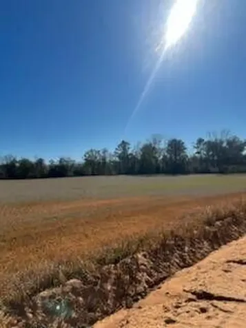 5123 Elmore Road Marianna FL 32446