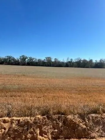 5123 Elmore Road Marianna FL 32446