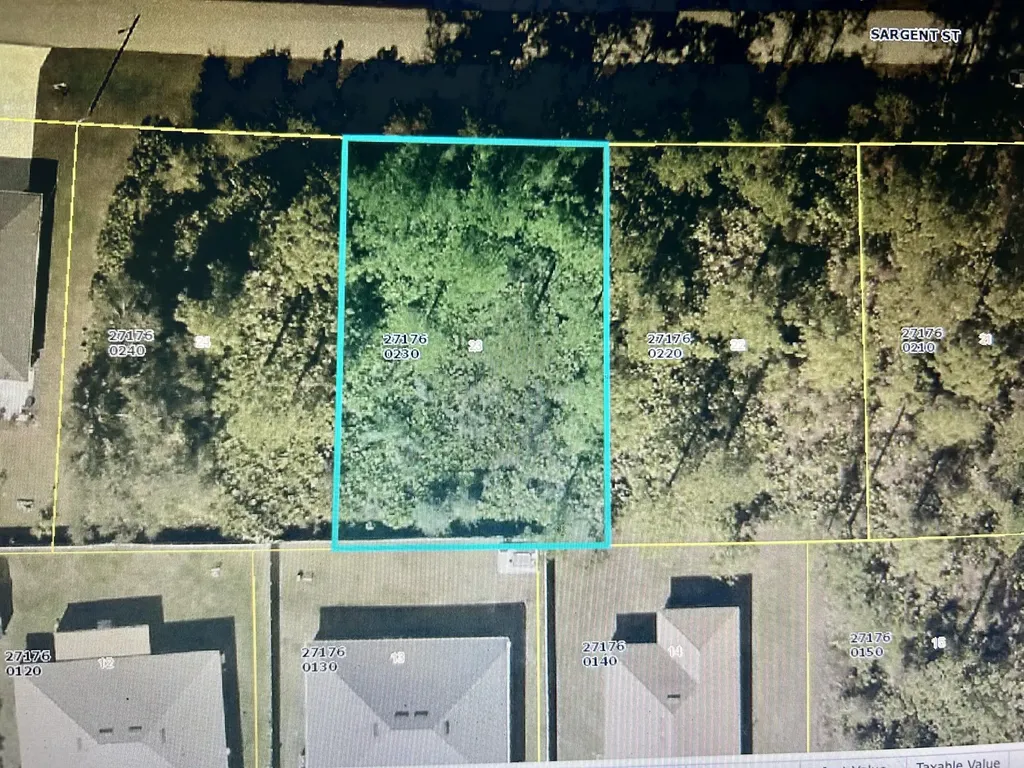 531 Sargent Street Lehigh Acres FL 33972