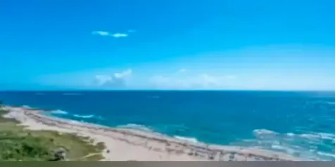 3800 N Ocean Drive Singer Island FL 33404