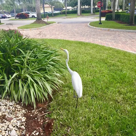 7440 W Mercada Way Delray Beach FL 33446