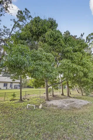 16107 86th Street Loxahatchee FL 33470